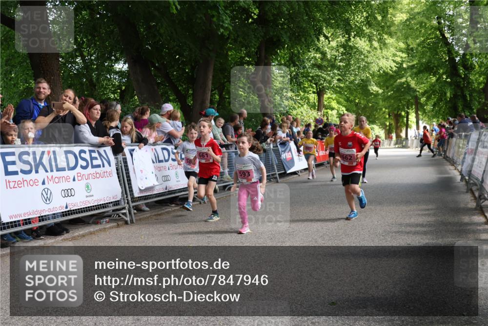 17.05.2025 - Störlauf Strokosch-Dieckow http://msf.ph/oto/7847946 17.05.2025 13:57:27 Ziel 000, 661, 662, 593 meine-sportfotos.de