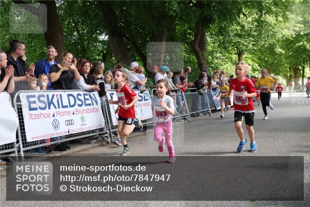 17.05.2025 - Störlauf Strokosch-Dieckow http://msf.ph/oto/7847947 17.05.2025 13:57:28 Ziel 0000, 70, 593, 66, 542 meine-sportfotos.de