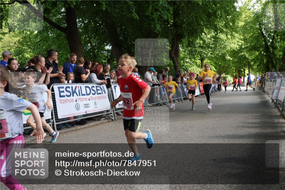17.05.2025 - Störlauf Strokosch-Dieckow http://msf.ph/oto/7847951 17.05.2025 13:57:28 Ziel 62, 502, 539, 542 meine-sportfotos.de