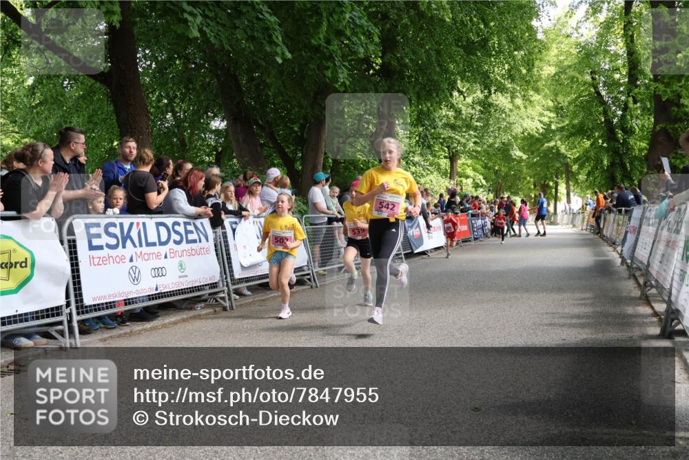 17.05.2025 - Störlauf Strokosch-Dieckow http://msf.ph/oto/7847955 17.05.2025 13:57:29 Ziel 503, 542 meine-sportfotos.de