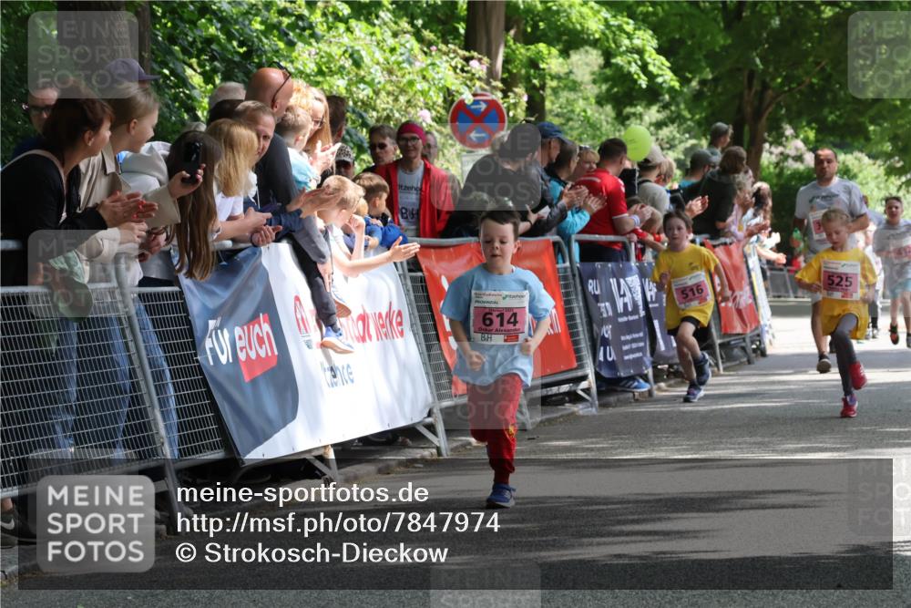 17.05.2025 - Störlauf Strokosch-Dieckow http://msf.ph/oto/7847974 17.05.2025 13:57:44 Ziel 614, 40, 516, 525 meine-sportfotos.de