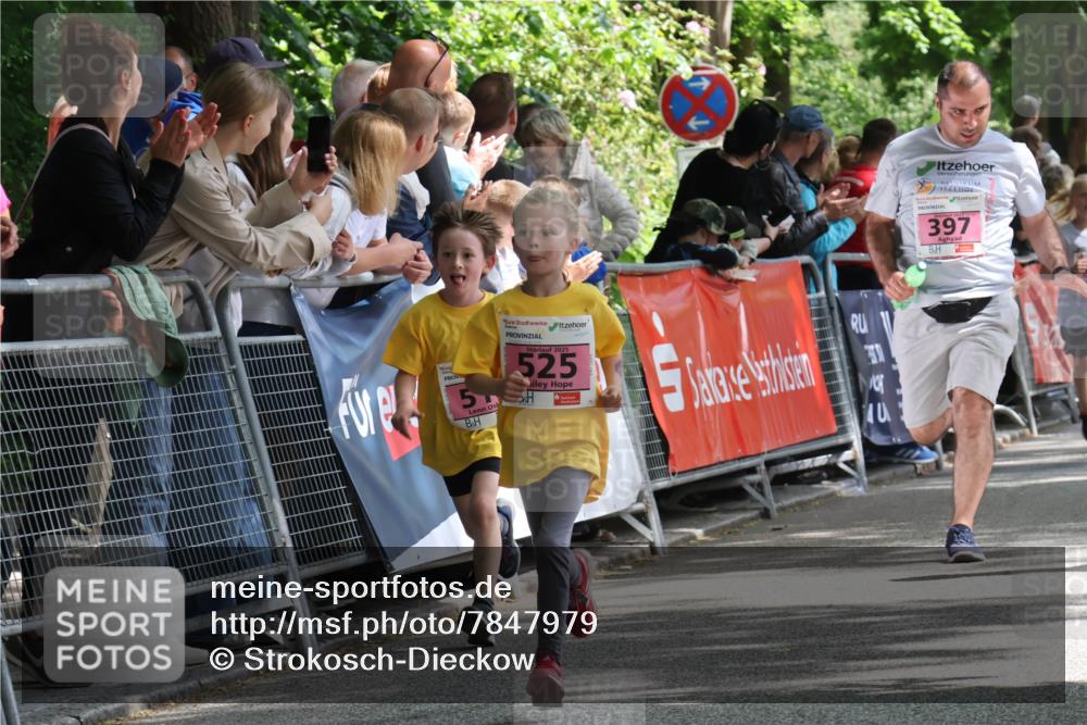 17.05.2025 - Störlauf Strokosch-Dieckow http://msf.ph/oto/7847979 17.05.2025 13:57:47 Ziel 2025, 525, 40, 11, 397 meine-sportfotos.de