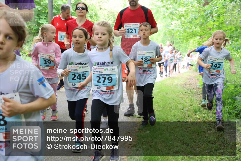 17.05.2025 - Störlauf Strokosch-Dieckow http://msf.ph/oto/7847995 17.05.2025 13:43:08 Laufen 33, 321, 39, 2025, 245, 2025, 279, 2025, 184, 201, 142 meine-sportfotos.de