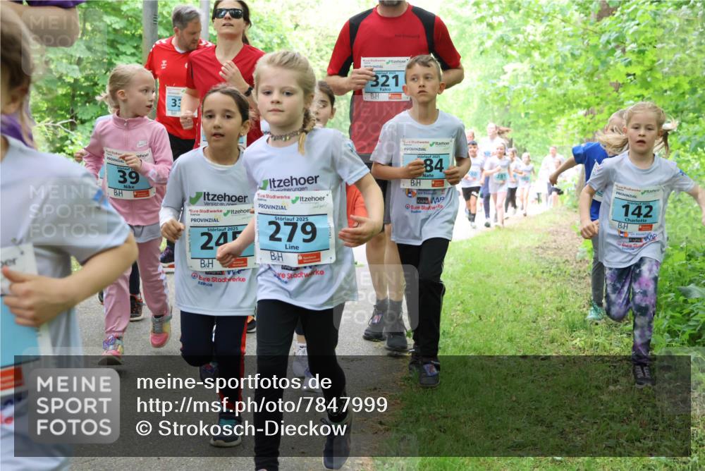 17.05.2025 - Störlauf Strokosch-Dieckow http://msf.ph/oto/7847999 17.05.2025 13:43:08 Laufen 39, 33, 321, 2025, 2025, 24, 279, 10, 2025, 84, 2025, 142 meine-sportfotos.de