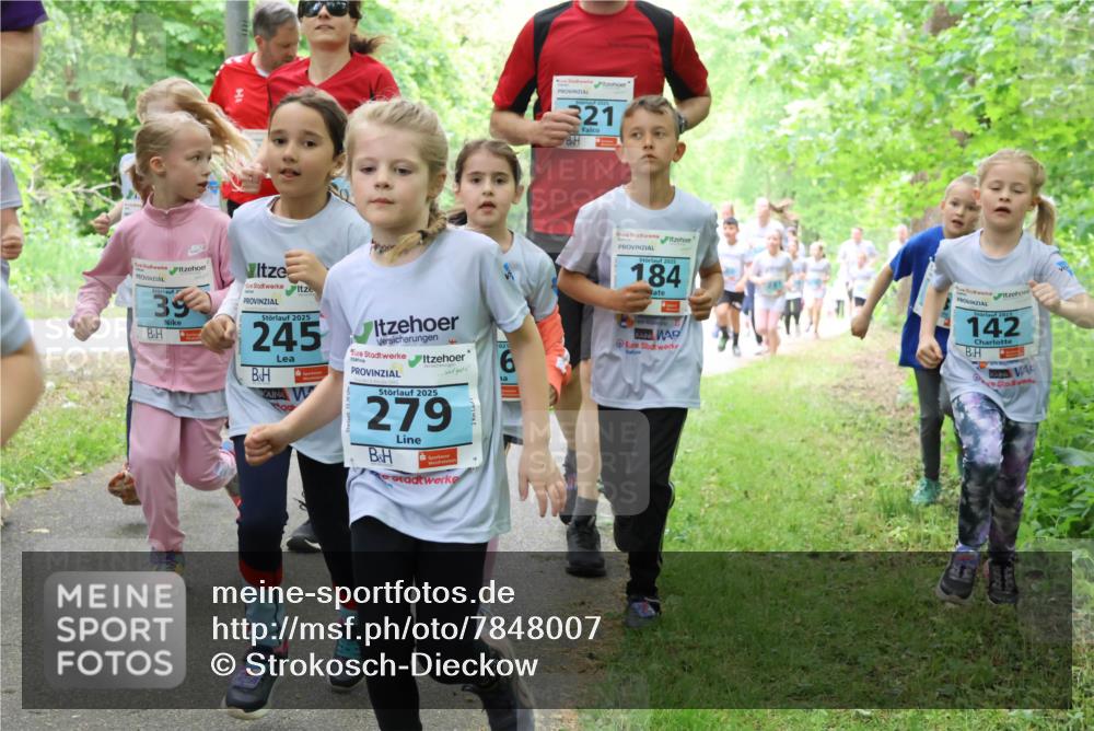 17.05.2025 - Störlauf Strokosch-Dieckow http://msf.ph/oto/7848007 17.05.2025 13:43:08 Laufen 321, 2, 39, 2025, 245, 4, 2025, 279, 6, 2025, 184, 2025, 142 meine-sportfotos.de