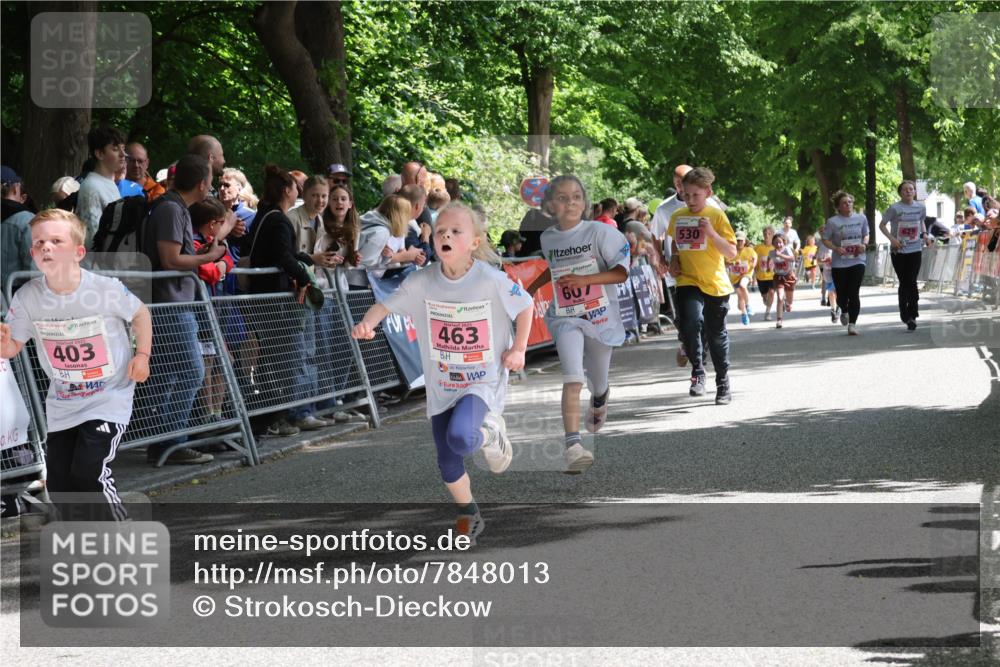 17.05.2025 - Störlauf Strokosch-Dieckow http://msf.ph/oto/7848013 17.05.2025 13:57:56 Ziel 403, 2025, 463, 607, 530 meine-sportfotos.de