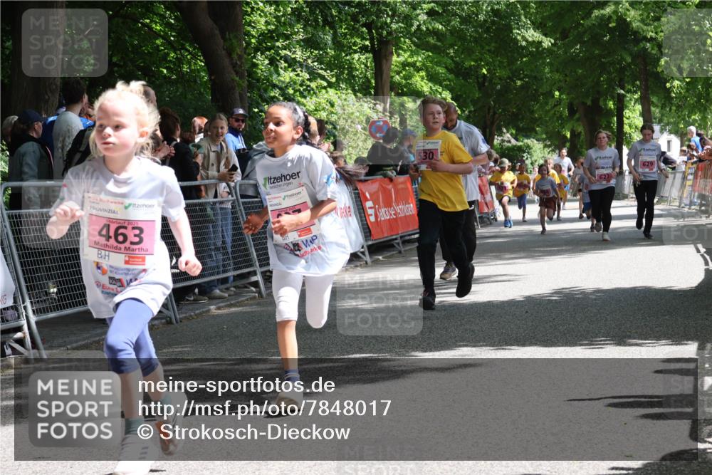 17.05.2025 - Störlauf Strokosch-Dieckow http://msf.ph/oto/7848017 17.05.2025 13:57:57 Ziel 2025, 463, 2025, 530, 629, 627 meine-sportfotos.de