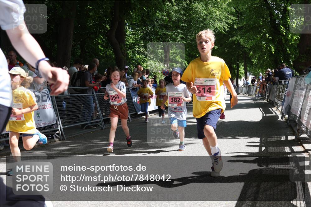 17.05.2025 - Störlauf Strokosch-Dieckow http://msf.ph/oto/7848042 17.05.2025 13:58:04 Ziel 394, 520, 382, 514 meine-sportfotos.de