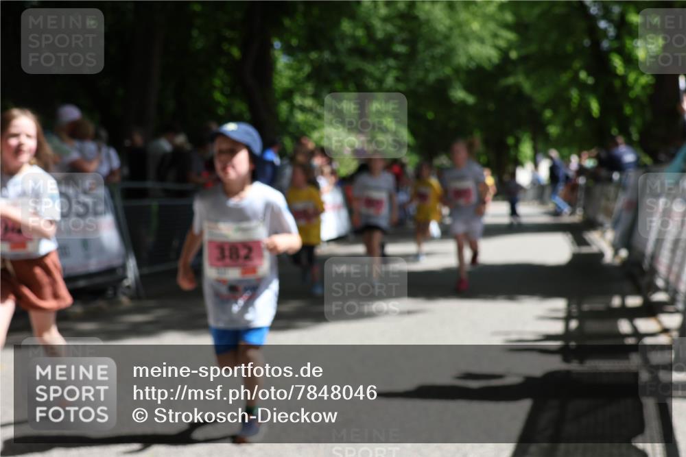 17.05.2025 - Störlauf Strokosch-Dieckow http://msf.ph/oto/7848046 17.05.2025 13:58:05 Ziel 382 meine-sportfotos.de
