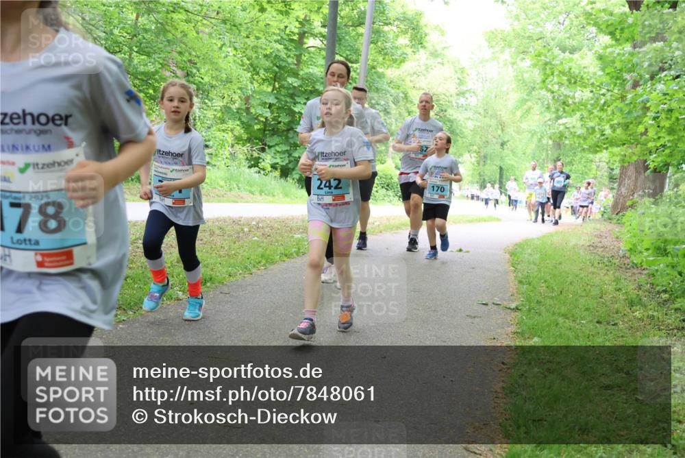17.05.2025 - Störlauf Strokosch-Dieckow http://msf.ph/oto/7848061 17.05.2025 13:43:17 Laufen 2025, 178, 242, 170 meine-sportfotos.de