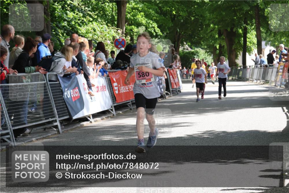 17.05.2025 - Störlauf Strokosch-Dieckow http://msf.ph/oto/7848072 17.05.2025 13:58:16 Ziel 157, 580, 584, 583 meine-sportfotos.de