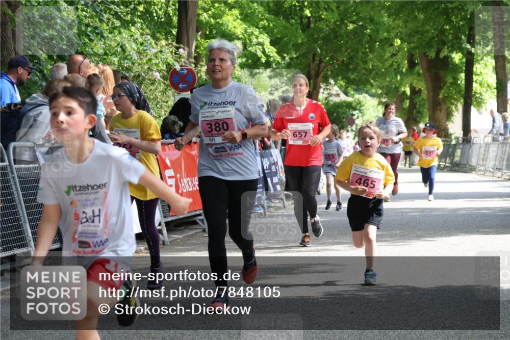17.05.2025 - Störlauf Strokosch-Dieckow http://msf.ph/oto/7848105 17.05.2025 13:58:30 Ziel 1725, 0, 380, 657, 553, 465, 515 meine-sportfotos.de