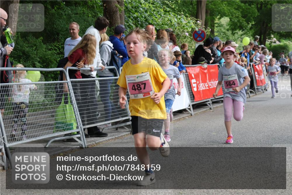 17.05.2025 - Störlauf Strokosch-Dieckow http://msf.ph/oto/7848159 17.05.2025 13:58:48 Ziel 2025, 487, 564 meine-sportfotos.de