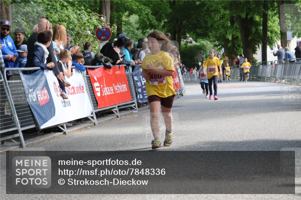 17.05.2025 - Störlauf Strokosch-Dieckow http://msf.ph/oto/7848336 17.05.2025 14:00:31 Ziel 109, 480 meine-sportfotos.de