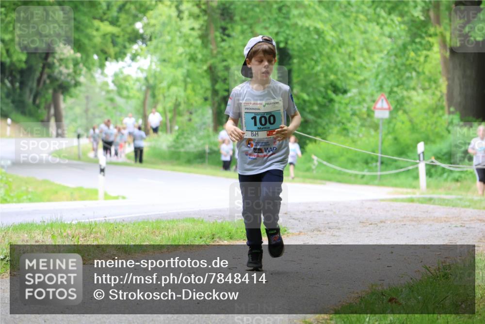 17.05.2025 - Störlauf Strokosch-Dieckow http://msf.ph/oto/7848414 17.05.2025 13:44:25 Laufen 2025, 100 meine-sportfotos.de