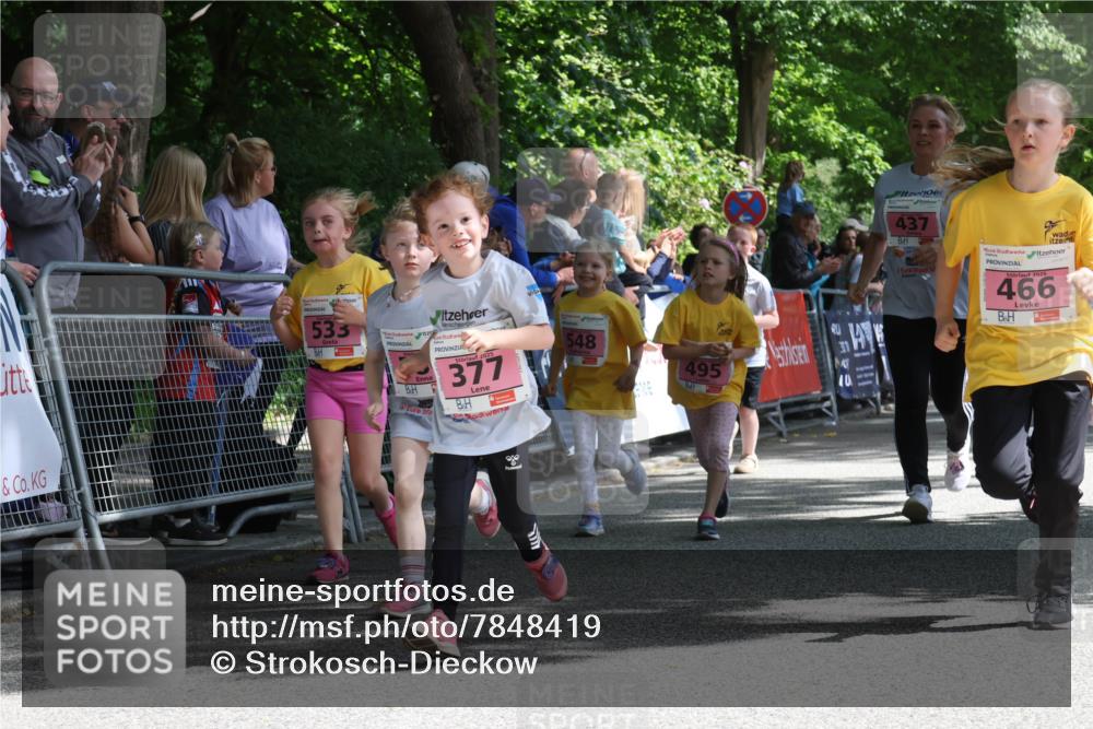 17.05.2025 - Störlauf Strokosch-Dieckow http://msf.ph/oto/7848419 17.05.2025 14:01:57 Ziel 533, 2025, 377, 548, 495, 437, 2025, 466 meine-sportfotos.de