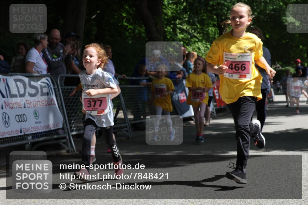 17.05.2025 - Störlauf Strokosch-Dieckow http://msf.ph/oto/7848421 17.05.2025 14:01:57 Ziel 377, 548, 495, 2025, 466 meine-sportfotos.de