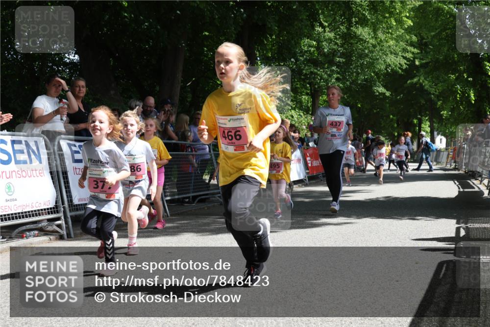 17.05.2025 - Störlauf Strokosch-Dieckow http://msf.ph/oto/7848423 17.05.2025 14:01:58 Ziel 37, 86, 2025, 466, 495, 437, 07 meine-sportfotos.de