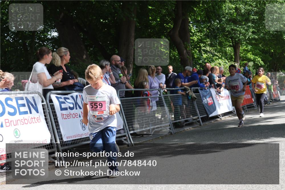 17.05.2025 - Störlauf Strokosch-Dieckow http://msf.ph/oto/7848440 17.05.2025 14:02:10 Ziel 2025, 559, 621, 476 meine-sportfotos.de