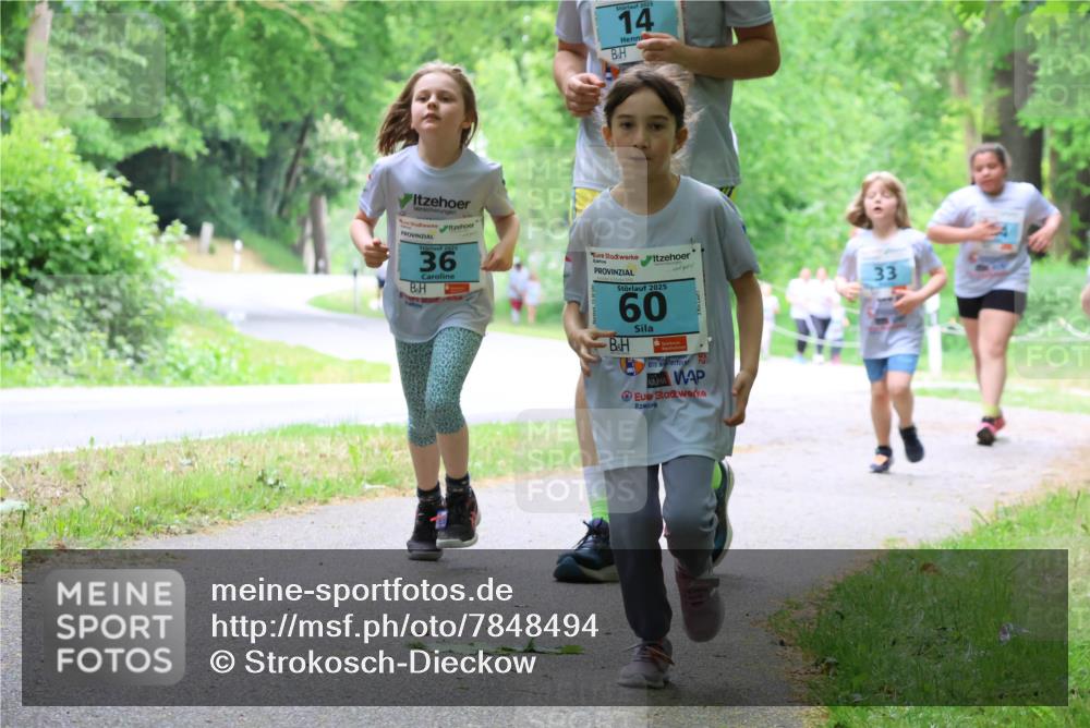 17.05.2025 - Störlauf Strokosch-Dieckow http://msf.ph/oto/7848494 17.05.2025 13:44:49 Laufen 2025, 14, 2025, 36, 2025, 60, 33 meine-sportfotos.de