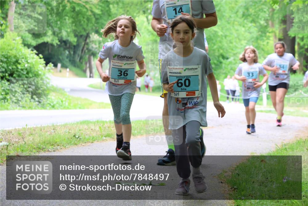 17.05.2025 - Störlauf Strokosch-Dieckow http://msf.ph/oto/7848497 17.05.2025 13:44:49 Laufen 2025, 14, 2025, 36, 2025, 60, 33 meine-sportfotos.de