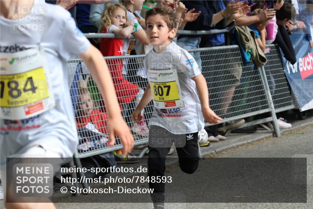17.05.2025 - Störlauf Strokosch-Dieckow http://msf.ph/oto/7848593 17.05.2025 14:09:39 Ziel 784, 2025, 807 meine-sportfotos.de