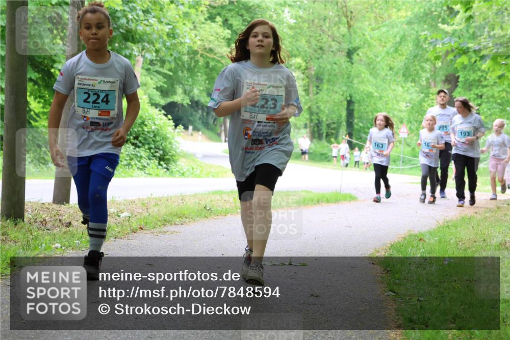 17.05.2025 - Störlauf Strokosch-Dieckow http://msf.ph/oto/7848594 17.05.2025 13:45:08 Laufen 2025, 224, 2025, 223, 16, 163, 205, 193 meine-sportfotos.de