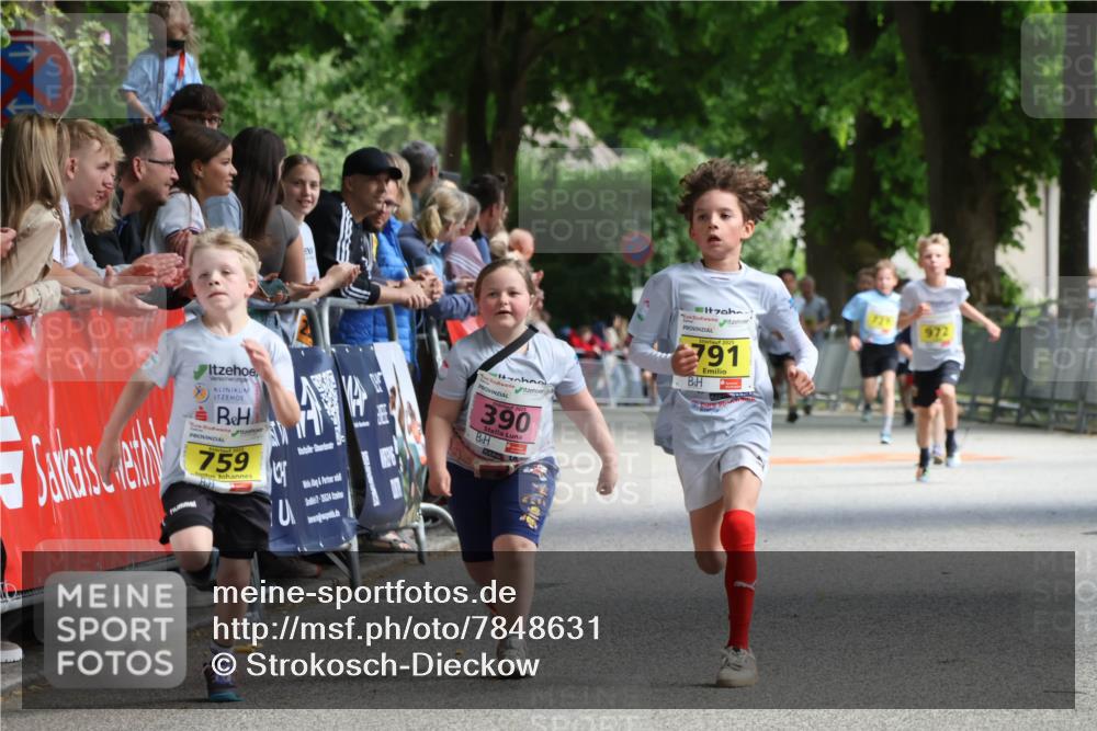 17.05.2025 - Störlauf Strokosch-Dieckow http://msf.ph/oto/7848631 17.05.2025 14:10:10 Ziel 759, 7, 25524, 390, 791, 972 meine-sportfotos.de