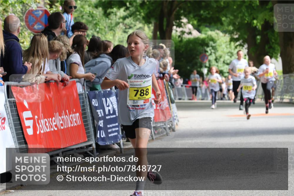 17.05.2025 - Störlauf Strokosch-Dieckow http://msf.ph/oto/7848727 17.05.2025 14:11:07 Ziel 40, 2025, 788 meine-sportfotos.de