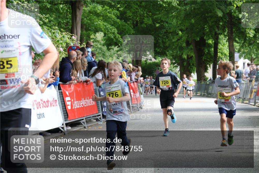 17.05.2025 - Störlauf Strokosch-Dieckow http://msf.ph/oto/7848755 17.05.2025 14:11:22 Ziel 2025, 85, 776, 720, 83 meine-sportfotos.de