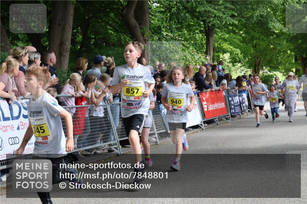 17.05.2025 - Störlauf Strokosch-Dieckow http://msf.ph/oto/7848801 17.05.2025 14:11:41 Ziel 2025, 145, 857, 940, 12, 5, 740, 719 meine-sportfotos.de