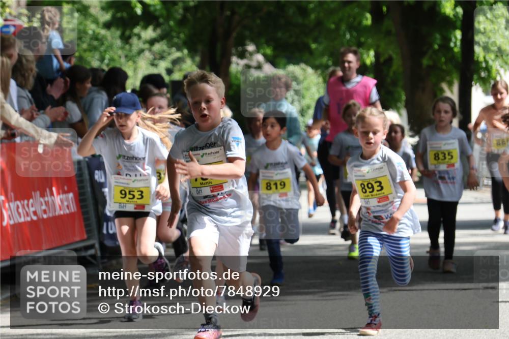 17.05.2025 - Störlauf Strokosch-Dieckow http://msf.ph/oto/7848929 17.05.2025 14:12:51 Ziel 40, 953, 819, 893, 68, 835 meine-sportfotos.de