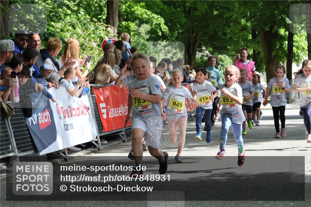 17.05.2025 - Störlauf Strokosch-Dieckow http://msf.ph/oto/7848931 17.05.2025 14:12:51 Ziel 7, 785, 949, 819, 99, 895, 835 meine-sportfotos.de