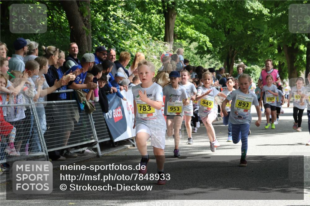 17.05.2025 - Störlauf Strokosch-Dieckow http://msf.ph/oto/7848933 17.05.2025 14:12:51 Ziel 783, 953, 949, 893, 747, 83 meine-sportfotos.de