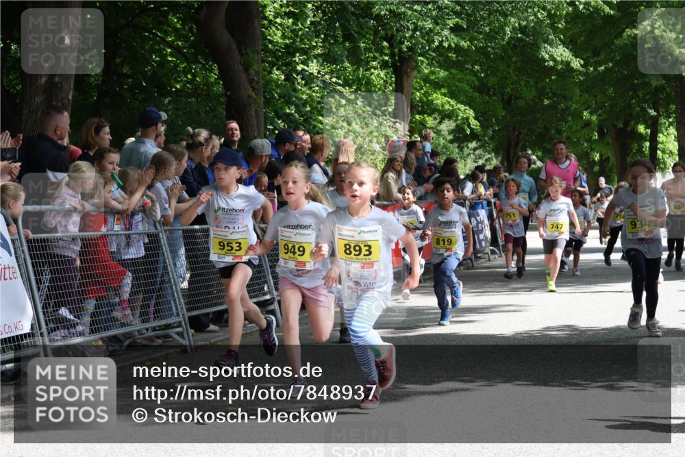 17.05.2025 - Störlauf Strokosch-Dieckow http://msf.ph/oto/7848937 17.05.2025 14:12:52 Ziel 953, 949, 893, 751, 747, 819, 889, 934 meine-sportfotos.de