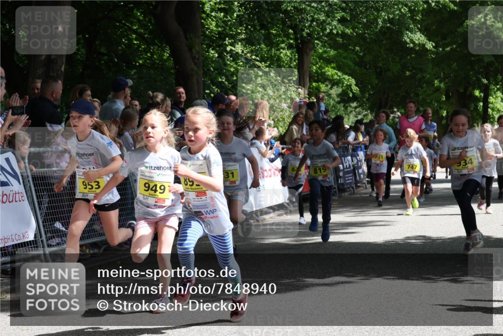 17.05.2025 - Störlauf Strokosch-Dieckow http://msf.ph/oto/7848940 17.05.2025 14:12:53 Ziel 953, 949, 85, 84, 31, 819, 747, 934 meine-sportfotos.de