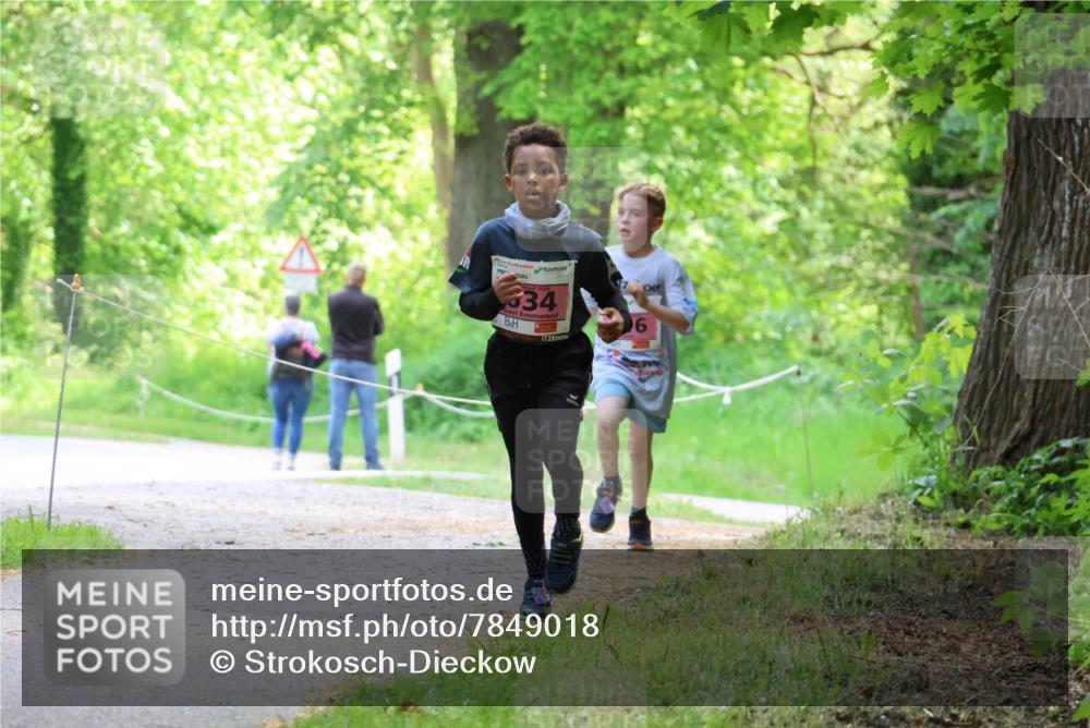 17.05.2025 - Störlauf Strokosch-Dieckow http://msf.ph/oto/7849018 17.05.2025 13:52:53 Laufen 34 meine-sportfotos.de