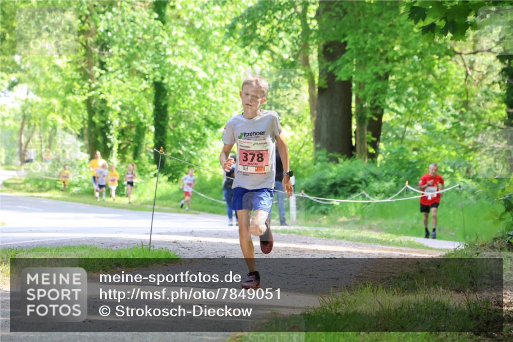 17.05.2025 - Störlauf Strokosch-Dieckow http://msf.ph/oto/7849051 17.05.2025 13:53:08 Laufen 378 meine-sportfotos.de