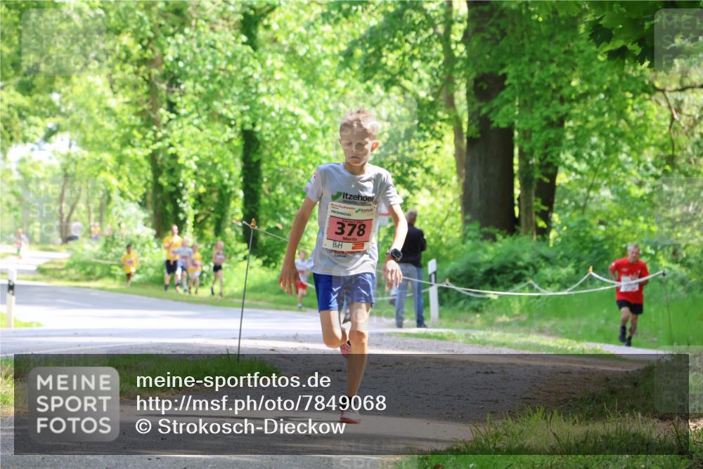 17.05.2025 - Störlauf Strokosch-Dieckow http://msf.ph/oto/7849068 17.05.2025 13:53:08 Laufen 378 meine-sportfotos.de