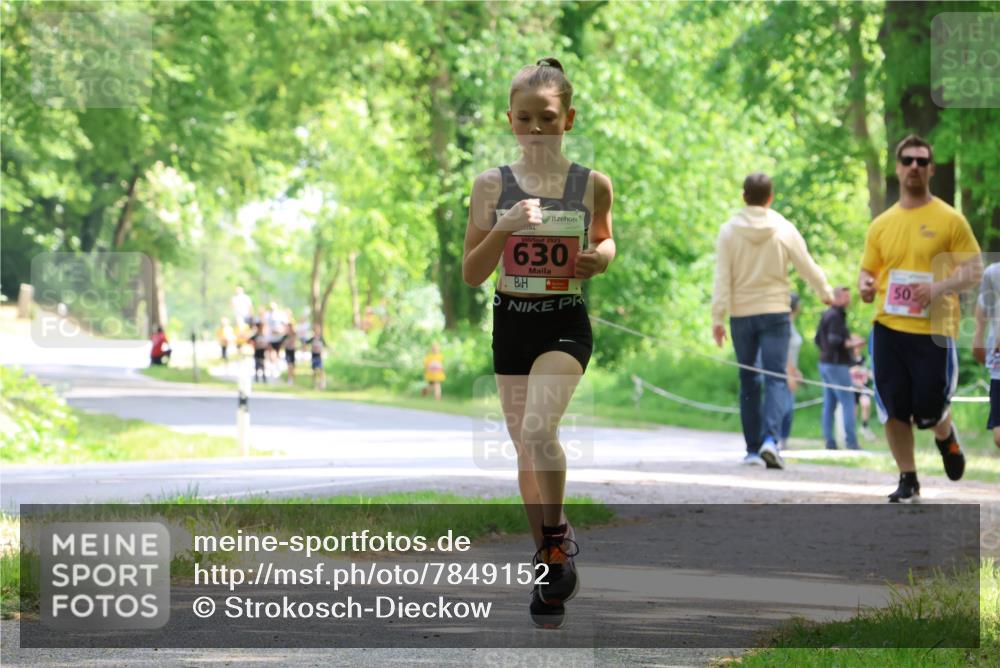 17.05.2025 - Störlauf Strokosch-Dieckow http://msf.ph/oto/7849152 17.05.2025 13:53:35 Laufen 2025, 630, 50 meine-sportfotos.de