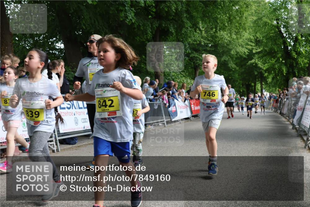 17.05.2025 - Störlauf Strokosch-Dieckow http://msf.ph/oto/7849160 17.05.2025 14:14:15 Ziel 83, 2025, 839, 2025, 842, 23, 746 meine-sportfotos.de