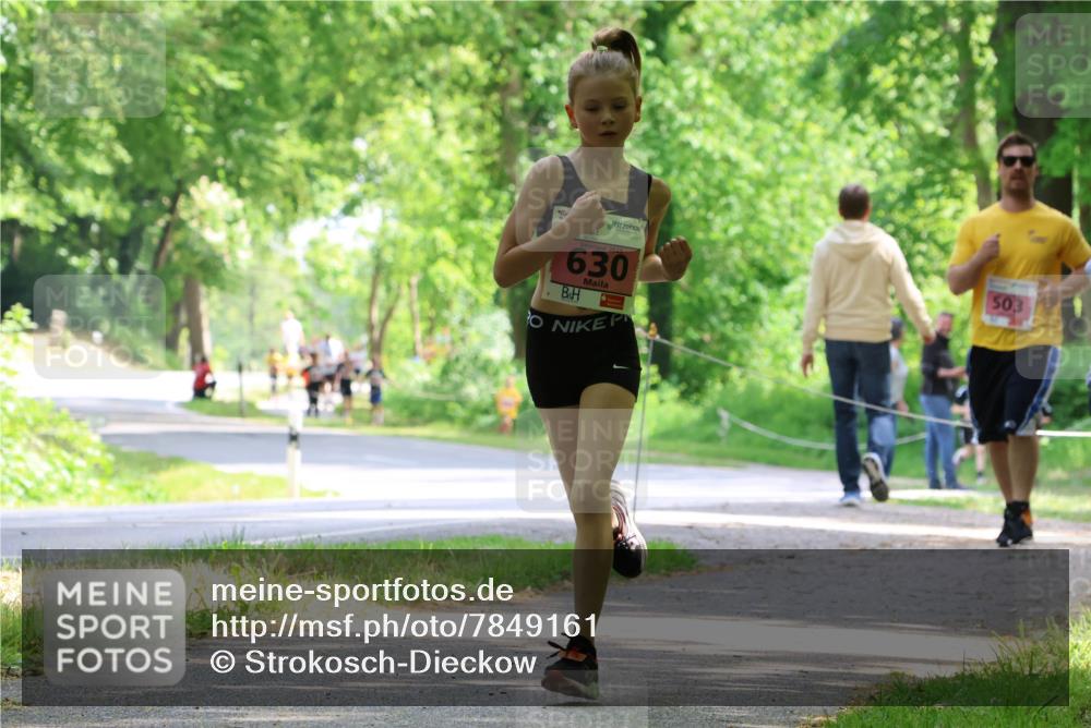 17.05.2025 - Störlauf Strokosch-Dieckow http://msf.ph/oto/7849161 17.05.2025 13:53:35 Laufen 2025, 630, 503 meine-sportfotos.de