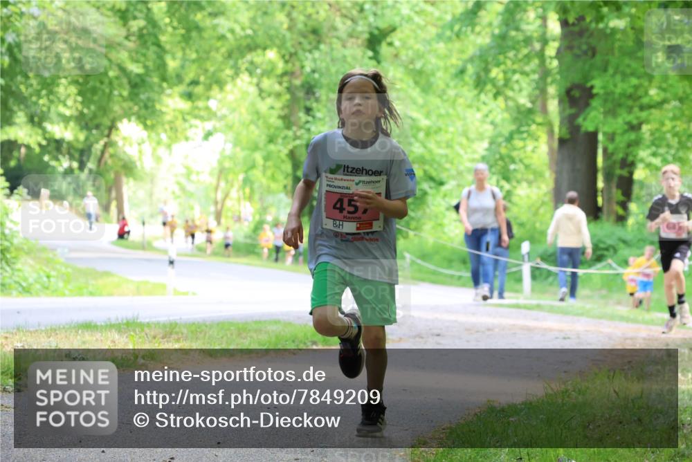 17.05.2025 - Störlauf Strokosch-Dieckow http://msf.ph/oto/7849209 17.05.2025 13:53:48 Laufen 45, 645 meine-sportfotos.de