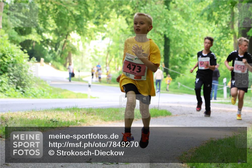 17.05.2025 - Störlauf Strokosch-Dieckow http://msf.ph/oto/7849270 17.05.2025 13:54:08 Laufen 2025, 473, 642 meine-sportfotos.de