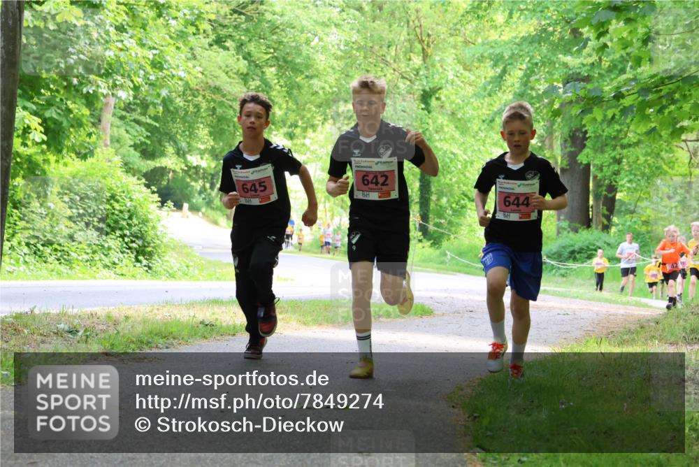 17.05.2025 - Störlauf Strokosch-Dieckow http://msf.ph/oto/7849274 17.05.2025 13:54:11 Laufen 645, 642, 644 meine-sportfotos.de