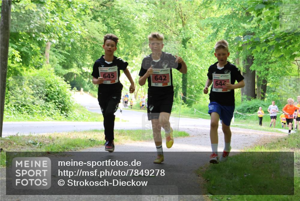 17.05.2025 - Störlauf Strokosch-Dieckow http://msf.ph/oto/7849278 17.05.2025 13:54:11 Laufen 645, 642, 644 meine-sportfotos.de