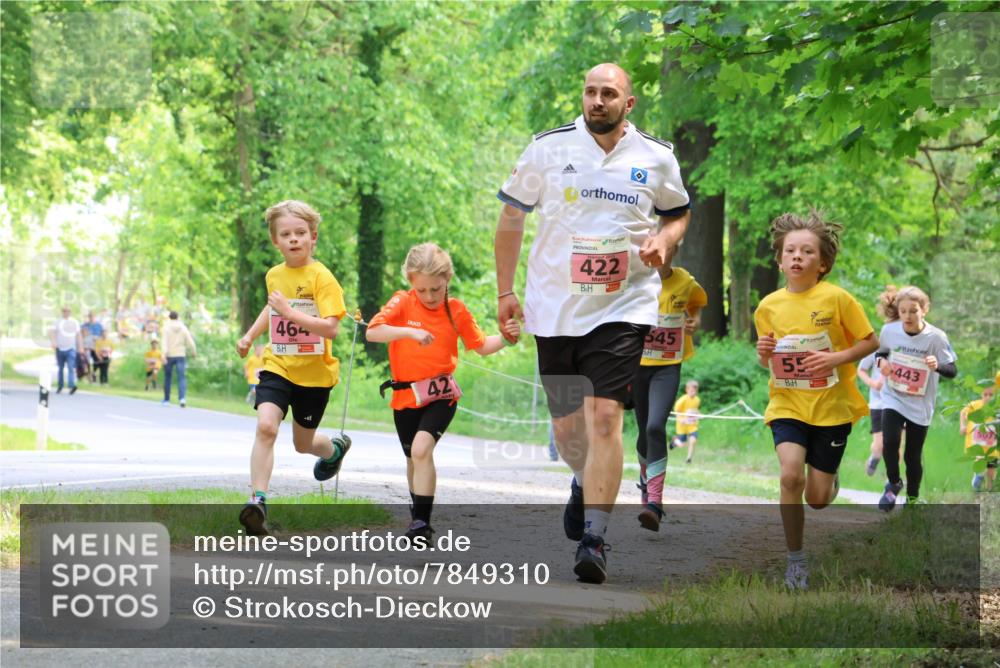 17.05.2025 - Störlauf Strokosch-Dieckow http://msf.ph/oto/7849310 17.05.2025 13:54:15 Laufen 464, 42, 422, 545, 55, 443 meine-sportfotos.de