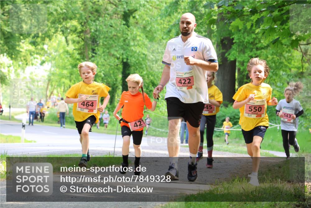 17.05.2025 - Störlauf Strokosch-Dieckow http://msf.ph/oto/7849328 17.05.2025 13:54:16 Laufen 464, 421, 422, 45, 550, 143 meine-sportfotos.de