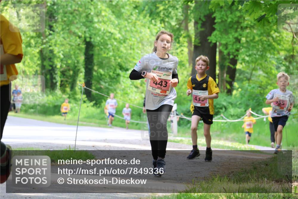 17.05.2025 - Störlauf Strokosch-Dieckow http://msf.ph/oto/7849336 17.05.2025 13:54:20 Laufen 2, 0, 2025, 443, 55, 43 meine-sportfotos.de