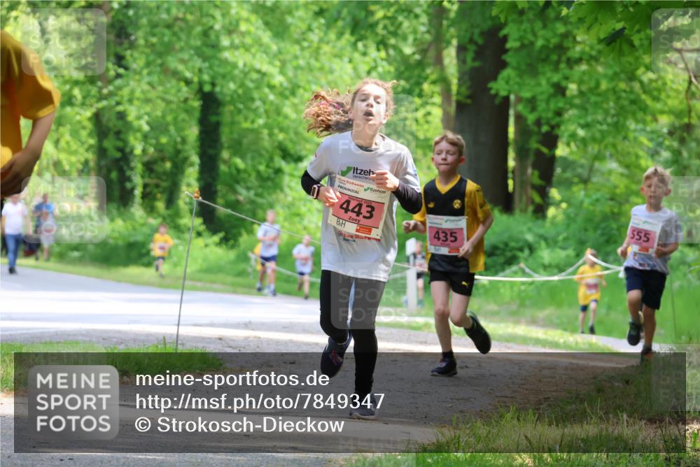 17.05.2025 - Störlauf Strokosch-Dieckow http://msf.ph/oto/7849347 17.05.2025 13:54:20 Laufen 2025, 443, 435, 555 meine-sportfotos.de